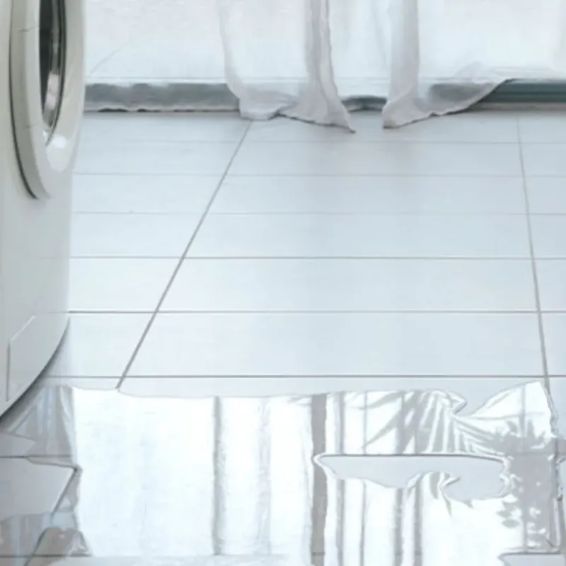 Appliance Leak Cleanup in Sampson County, NC