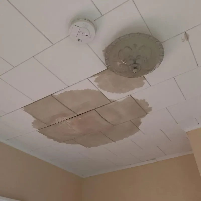 Ceiling Water Damage Repair in Sampson County, NC