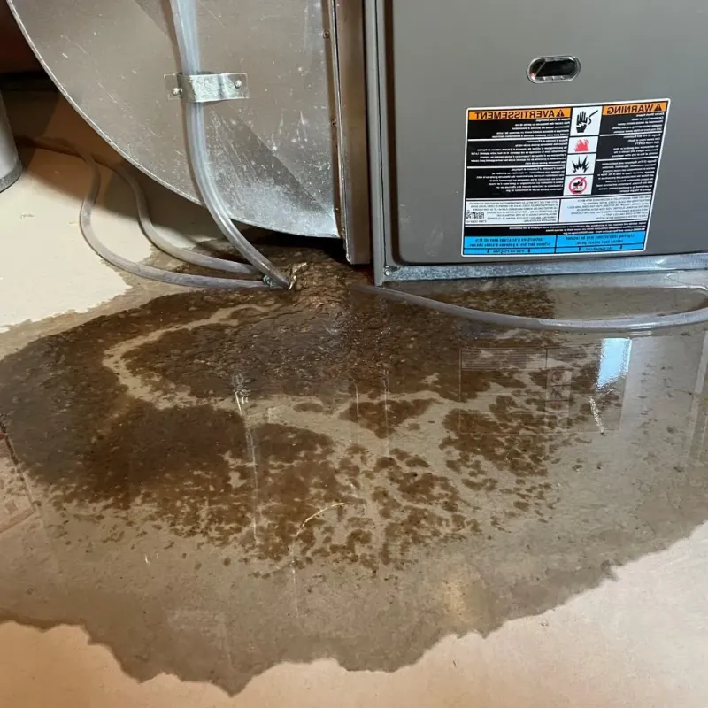 Pipe Burst and Leak Restoration in Sampson County, NC