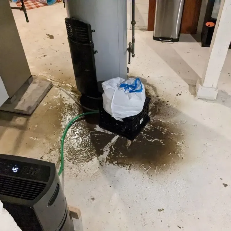 Sewage Backup Cleanup Service in Sampson County, NC